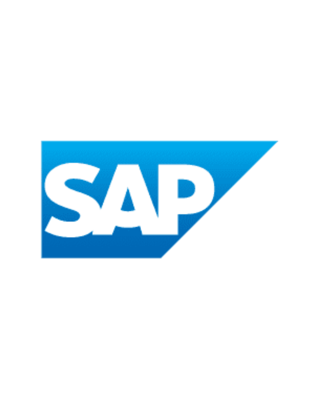 02 - SAP BRASIL FT